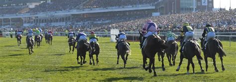 grand national runners 2019|Grand National 2019 Runners .